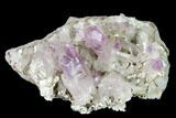 Amethyst Crystal Cluster - Las Vigas, Mexico #137004-1